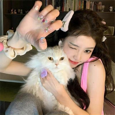 猫儿历险记国语